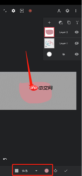 《painter》选区填色教程  第3张