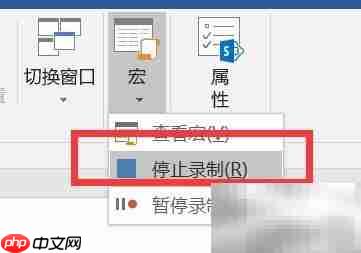 Word宏批量处理文字技巧  第7张