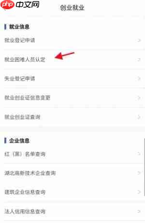 鄂汇办app怎么认定就业困难人员-就业困难人员认定方法  第6张