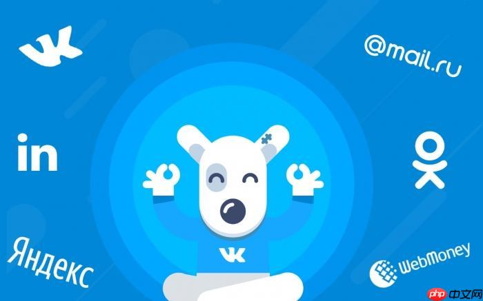 vk浏览器在线快速访问_vk浏览器官方直链  第1张