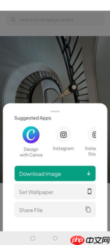《pexels》下载图片方法 第2张 《pexels》下载图片方法 第2张