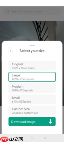 《pexels》下载图片方法 第3张 《pexels》下载图片方法 第3张
