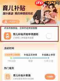 2025育儿补贴如何申请  第1张