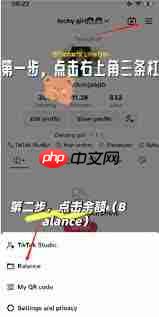 TikTok直播如何进行提现 第1张 TikTok直播如何进行提现 第1张