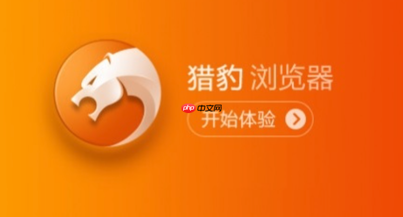 2025年猎豹安全浏览器入口 猎豹安全浏览器最新可用官方网站地址  第1张