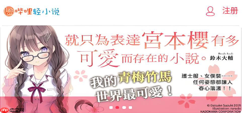 哔哩轻小说写作有什么要求 哔哩轻小说发布作品条件  第1张