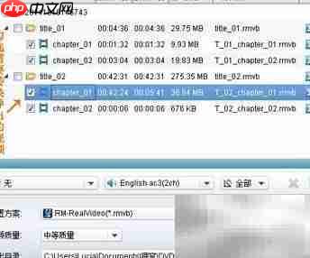DVD转RMVB:电影转换妙招 第2张 DVD转RMVB:电影转换妙招 第2张