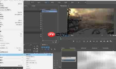 Premiere视频格式转换技巧  第6张