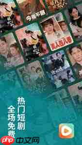 红果免费短剧如何看电影  第1张