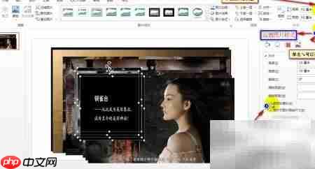 批量调整PPT图片尺寸  第10张