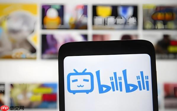 Bilibili动漫高速稳定观看地址-Bilibili动漫官方正版纯净版链接  第1张