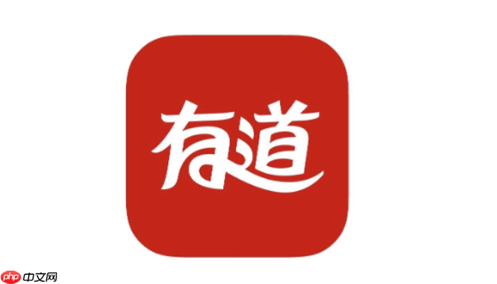 有道在线查词入口 官方词典免费查询入口  第1张