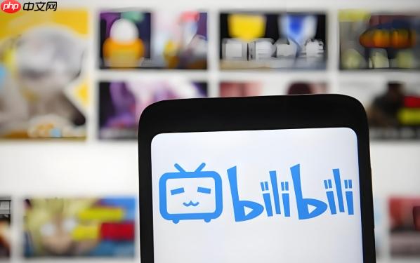 B站官网入口 bilibili网页版免费登录平台