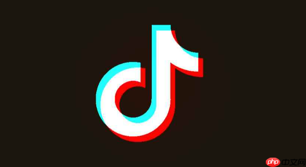 抖音网页版入口官网 抖音网页版官方登录  第1张