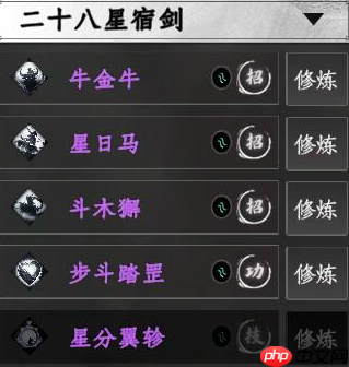 《下一站江湖2》二十八星宿剑技能介绍  第1张