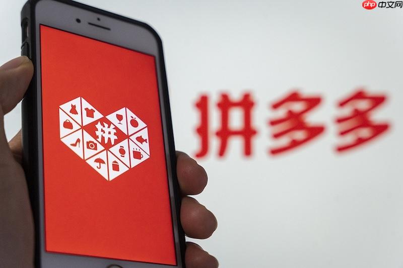 拼多多退货流程怎么走 拼多多退货使用教程  第1张