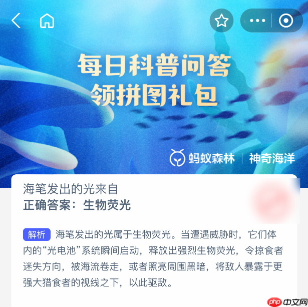 海笔发出的光来自