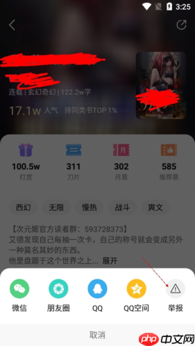 《次元姬小说》举报小说方法  第3张