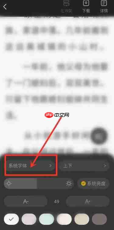 布袋鼠小说app怎么调整字体-字体设置方法 第2张 布袋鼠小说app怎么调整字体-字体设置方法 第2张