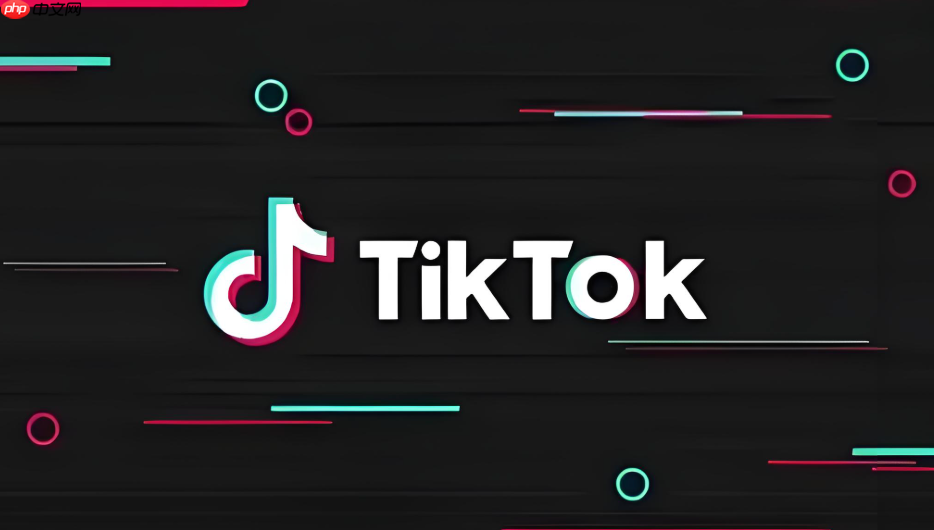 TikTok官方入口登录方法 TikTok网页版安全注册入口  第1张