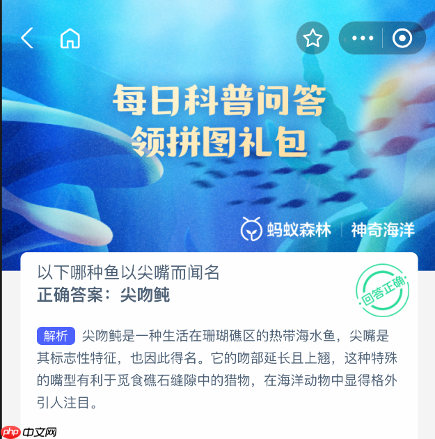 以下哪种鱼以尖嘴而闻名 第1张 以下哪种鱼以尖嘴而闻名 第1张