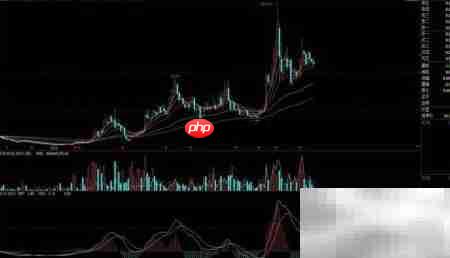 黑马股选股技巧揭秘  第1张