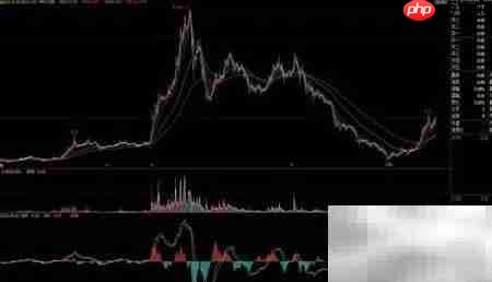 黑马股选股技巧揭秘  第3张