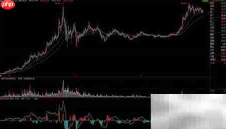 黑马股选股技巧揭秘  第4张