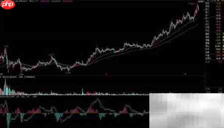 黑马股选股技巧揭秘  第6张