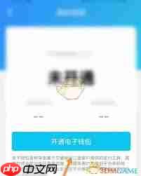 特来电app电子钱包如何激活  第1张