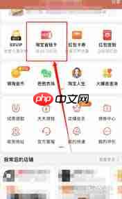 淘宝省钱卡怎么设置到首页  第3张