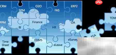 企业管理软件重塑未来  第1张