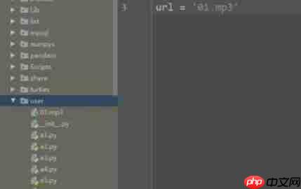 python怎么添加背景音乐-python添加背景音乐的方法  第4张