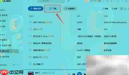 QQ音乐批量下载听歌记录  第3张