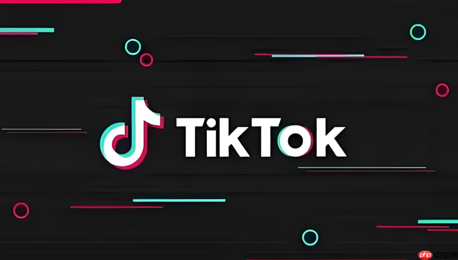 Tiktok官网入口2025 TikTok网页版最新入口  第1张