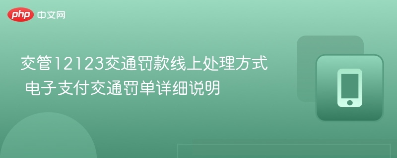 交管12123交通罚款线上处理方式 电子支付交通罚单详细说明  第1张
