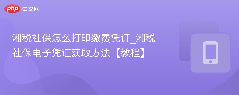 湘税社保怎么打印缴费凭证_湘税社保电子凭证获取方法【教程】  第1张