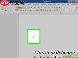 怎样在Word文档里插入地图  第1张