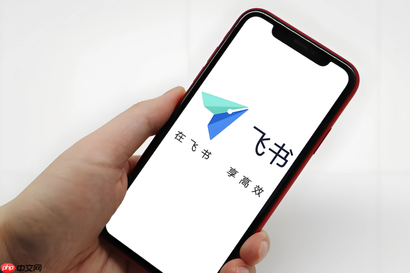 飞书视频会议无法全屏如何处理 飞书视频播放功能优化方法  第1张