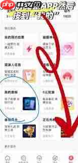 猫眼app票夹位置在哪里  第1张