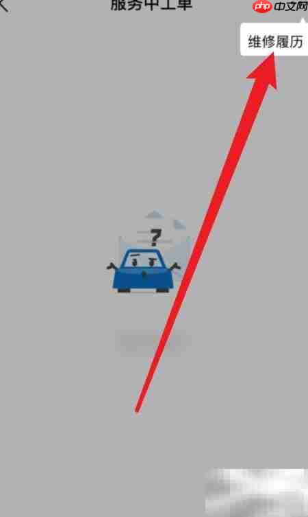 丰云行查维修履历指南  第3张