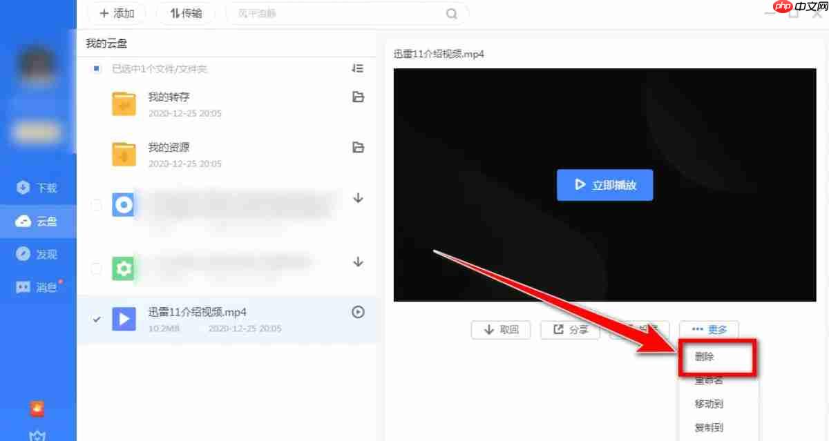 迅雷云盘怎么进行文件删除-迅雷云盘进行文件删除的方法 第4张 迅雷云盘怎么进行文件删除-迅雷云盘进行文件删除的方法 第4张