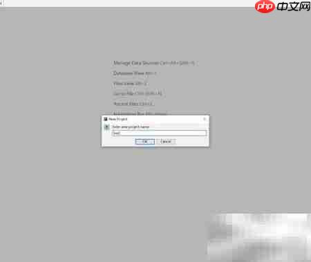 DataGrip连接Oracle数据库指南  第2张
