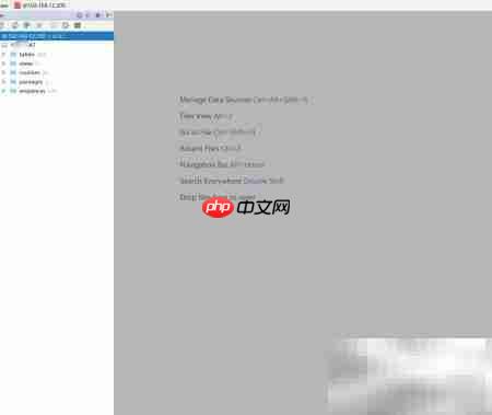 DataGrip连接Oracle数据库指南  第8张