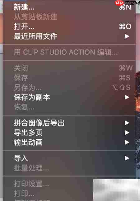Mac版CSP使用入门指南  第2张