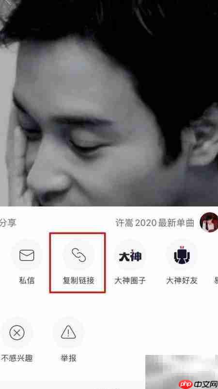 网易云村图片下载方法  第3张