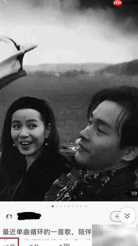 网易云村图片下载方法  第2张