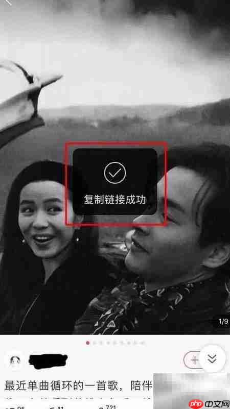 网易云村图片下载方法  第4张