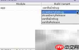 构建Android应用多版本 第2张 构建Android应用多版本 第2张
