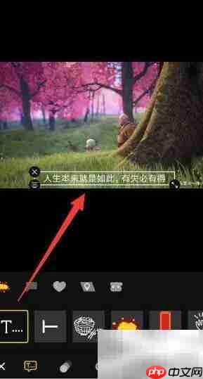 短视频动态字幕添加技巧  第12张